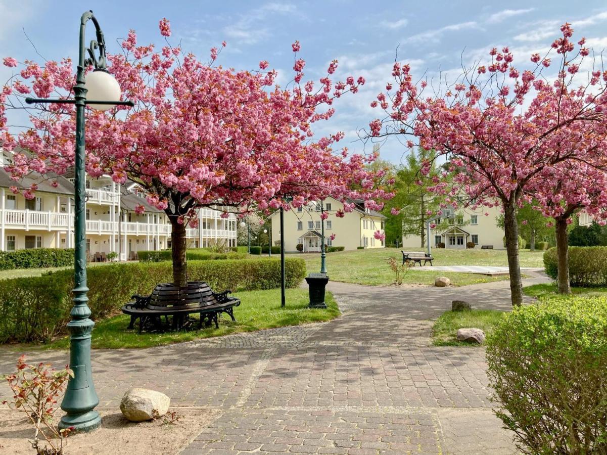Duenenpark Binz - Wg 40 "Treibgut" Apartment Luaran gambar